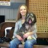 shark2020